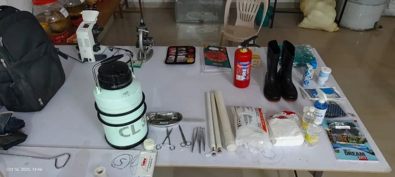 Lab
